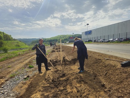 Ob dnevu zemlje sadili lipe (4)